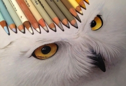 Имеют ли рисунки карандашом свою ценность