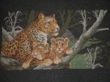 Дикие леопарды (леопард и 2 детеныша)